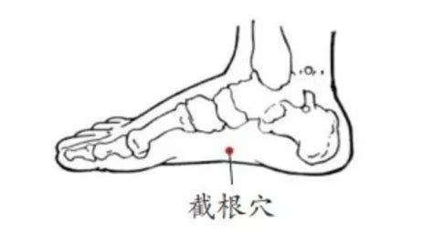 截根穴位置|截根穴